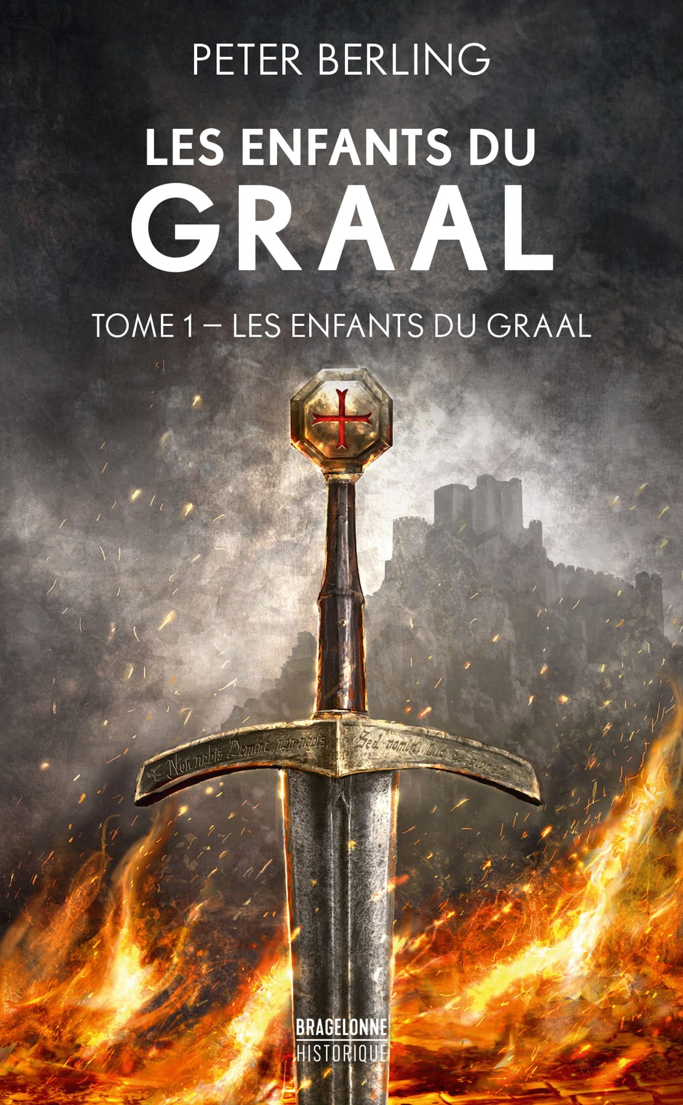 Les Enfants du Graal, T1 : Les Enfants du Graal book