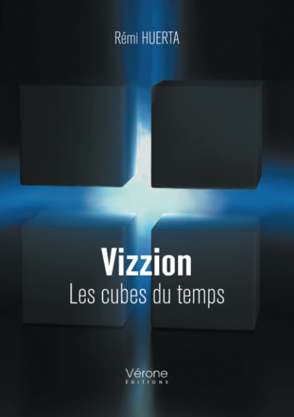 Vizzion - Les cubes du temps book