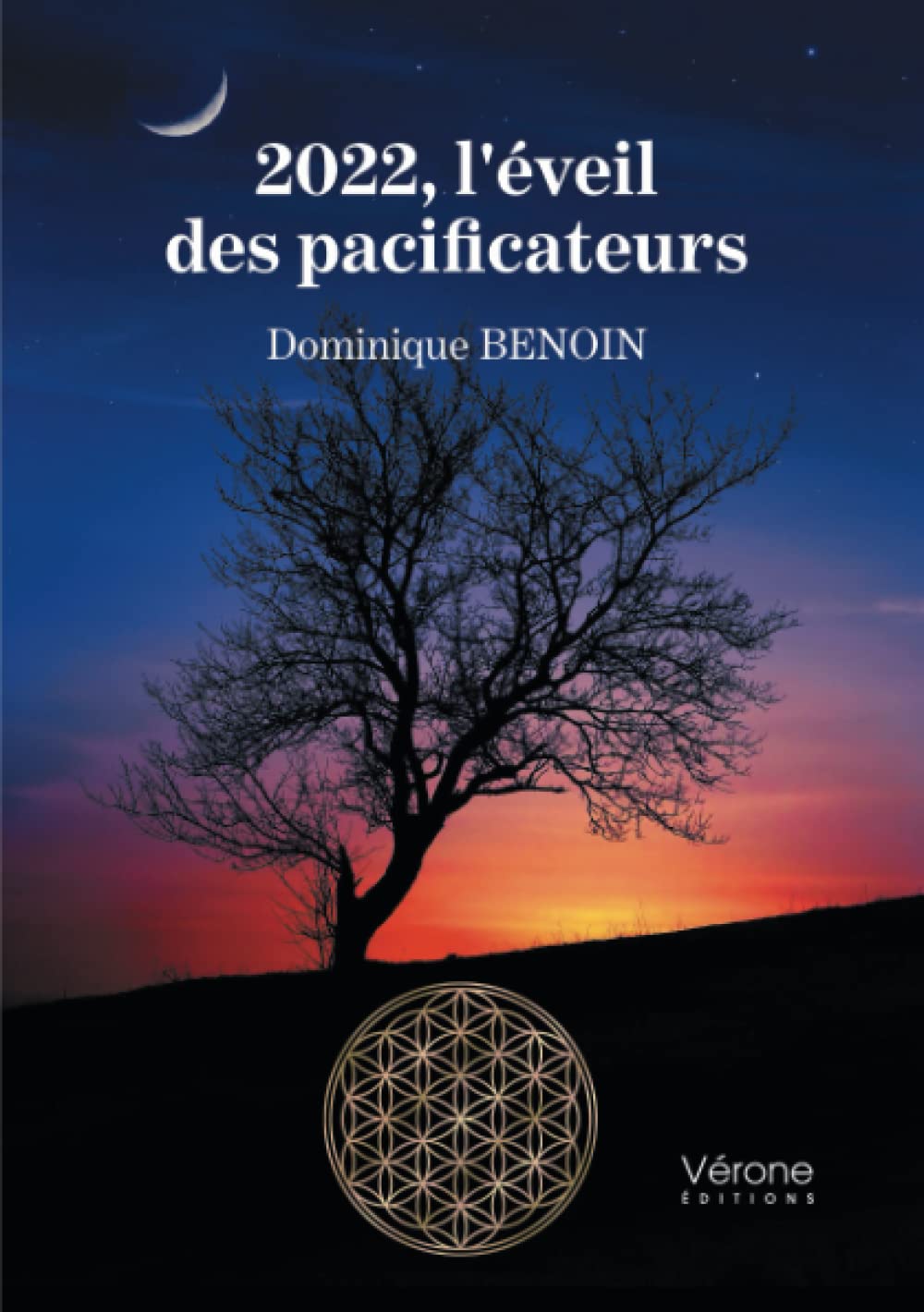 2022, l'éveil des pacificateurs book
