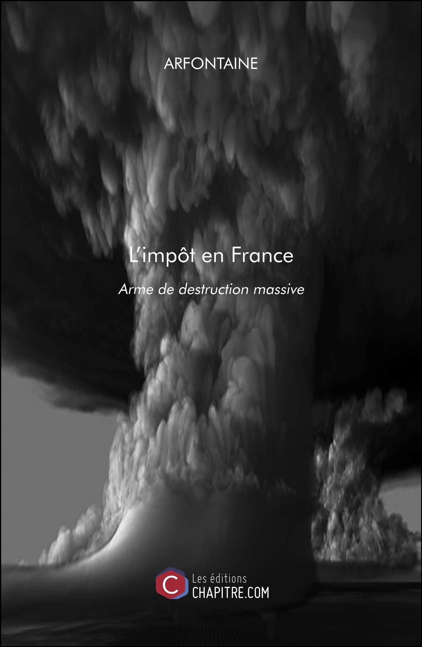 L'impôt en France: Arme de destruction massive book