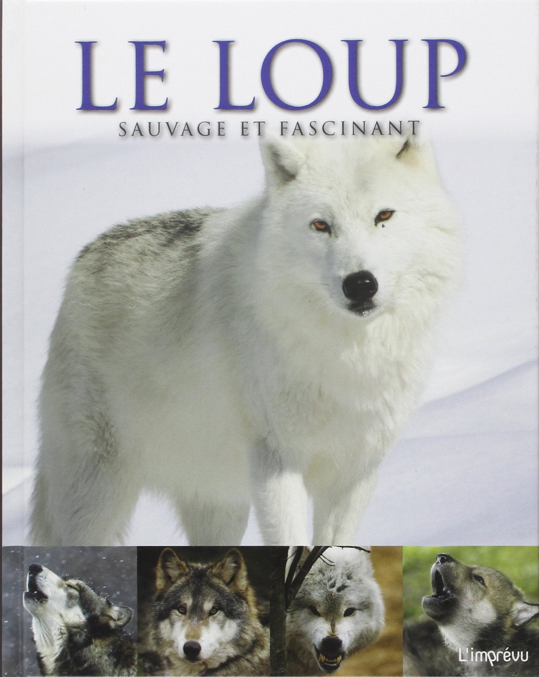 Le loup sauvage et fascinant Books