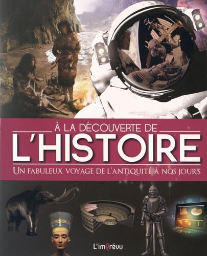 A la découverte de l'Histoire: Un fabuleux voyage de l'Antiquité à nos jours Books