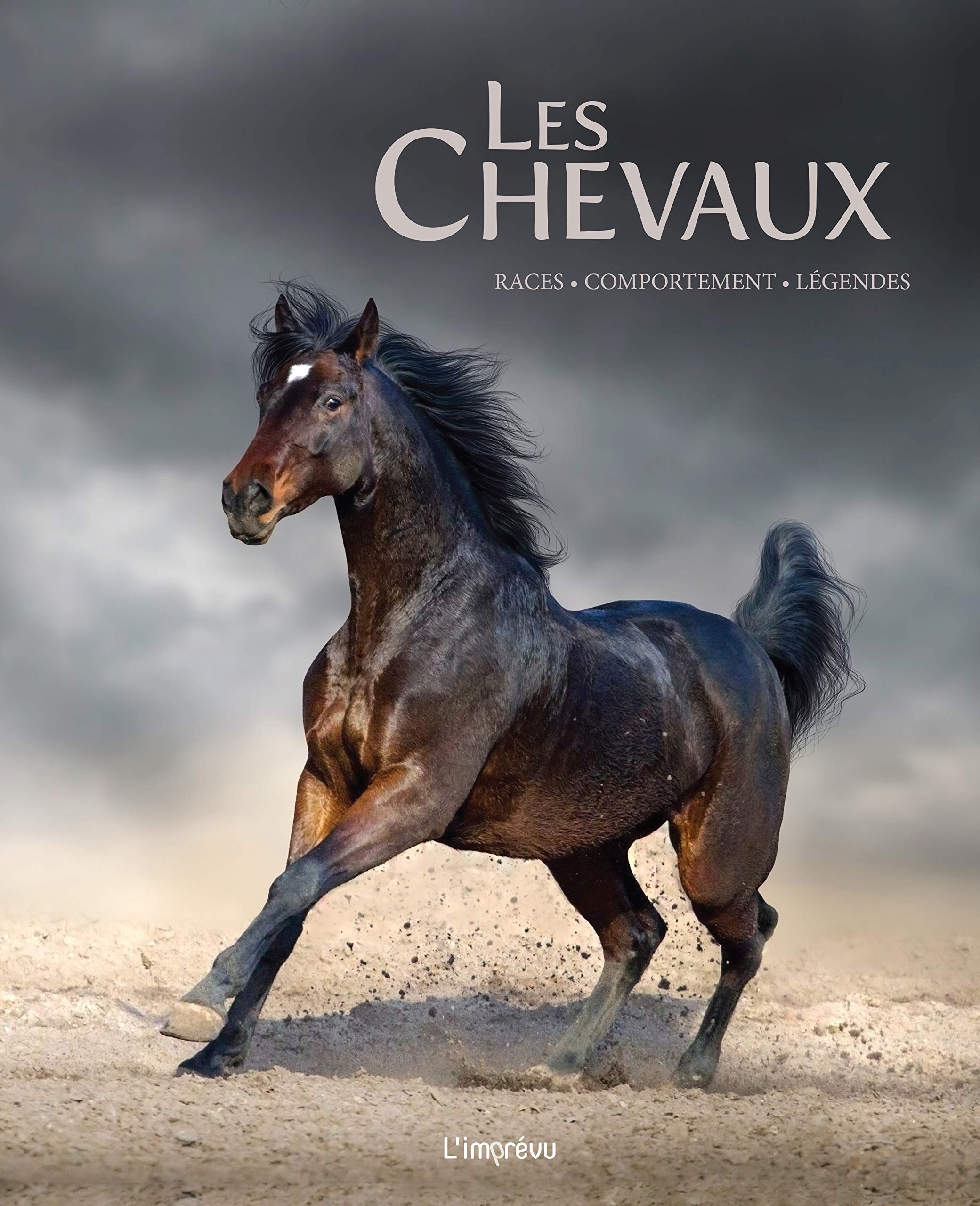 Les chevaux: Races, comportement, légendes Film, Art & Culture