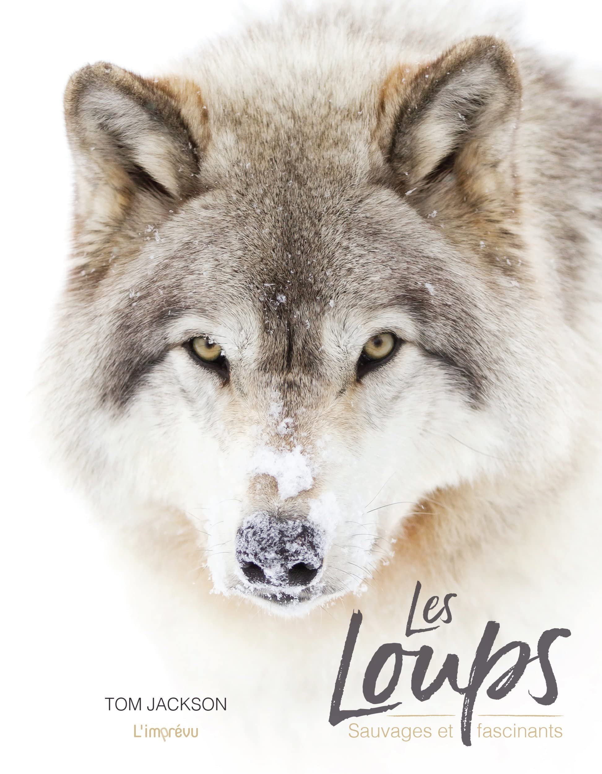 Les loups: sauvages et fascinants book