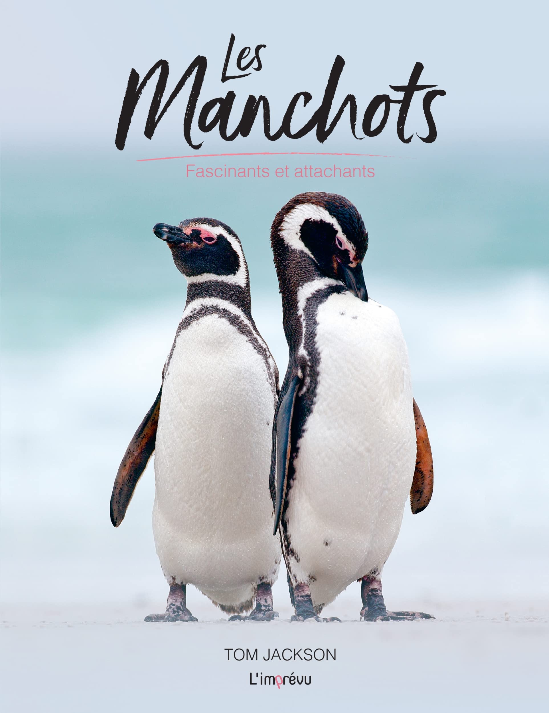 Les manchots: Fascinants et attachants Film, Art & Culture