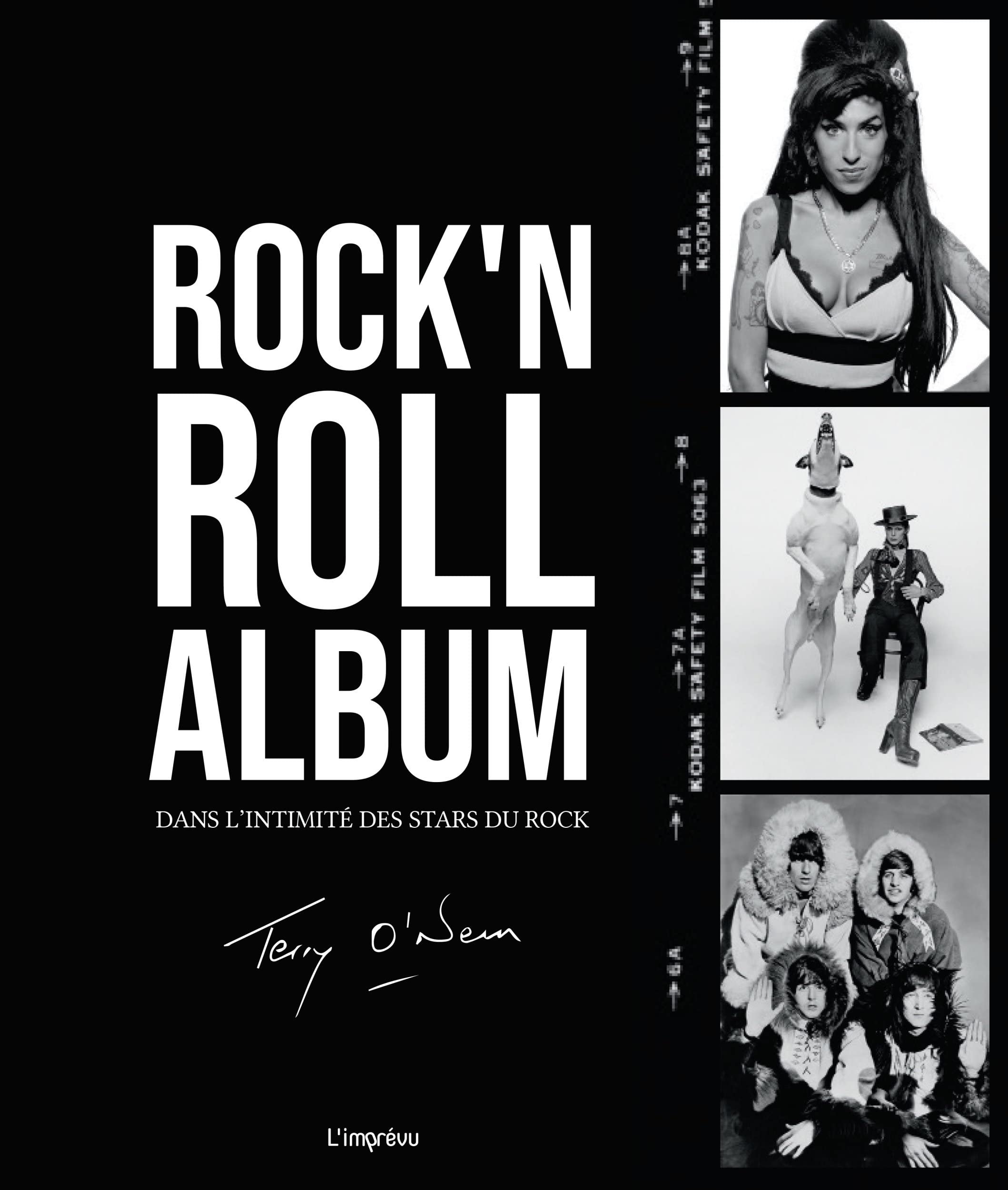 Rock'n Roll album: Dans l'intimité des stars du rock book