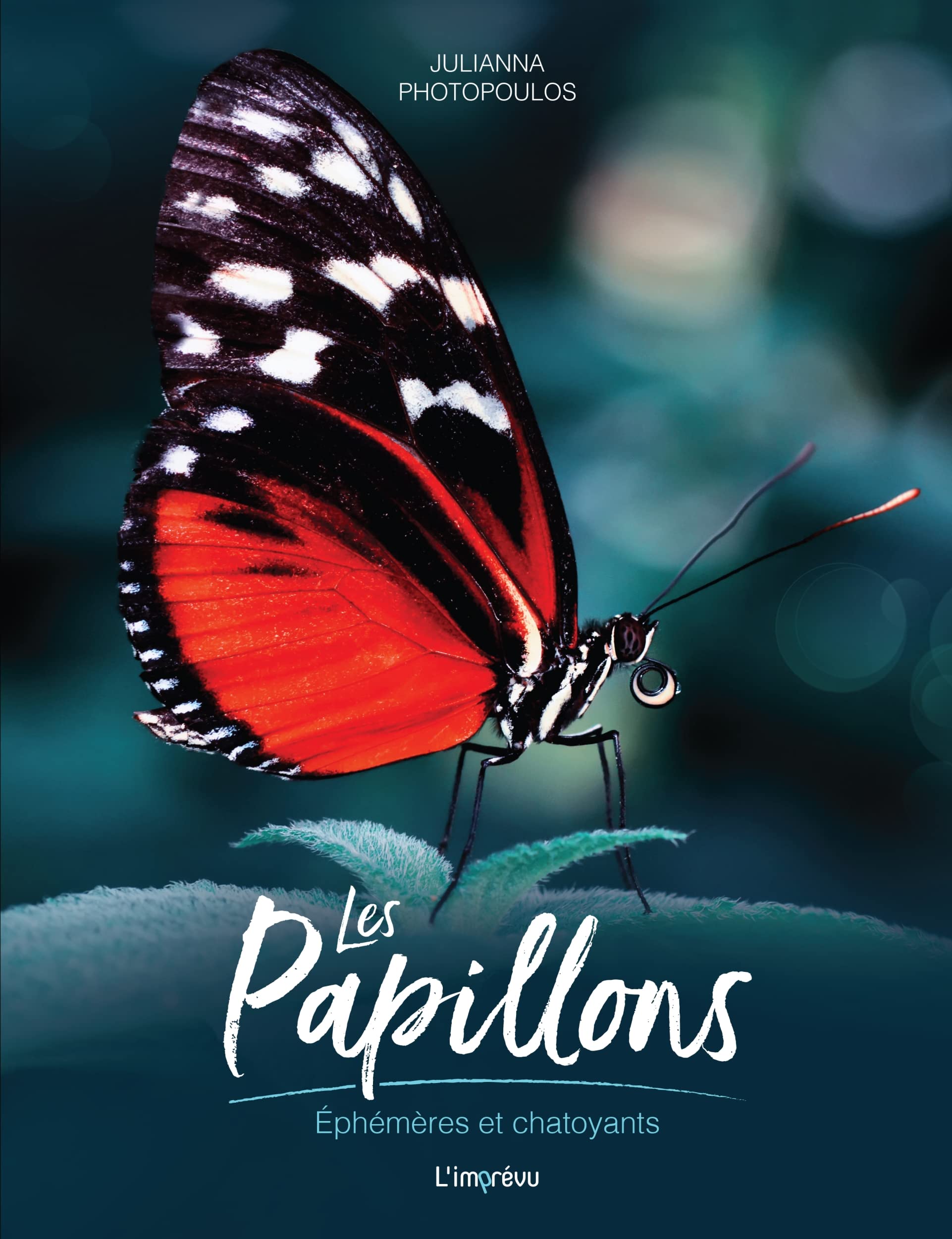 Les Papillons: Ephémères et chatoyants book