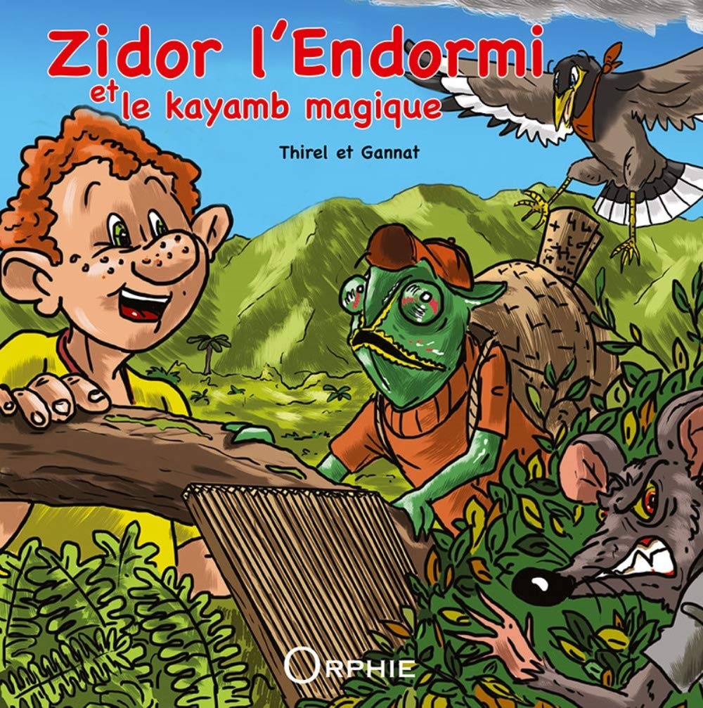 Zidor l'Endormi et le kayamb magique Children's books