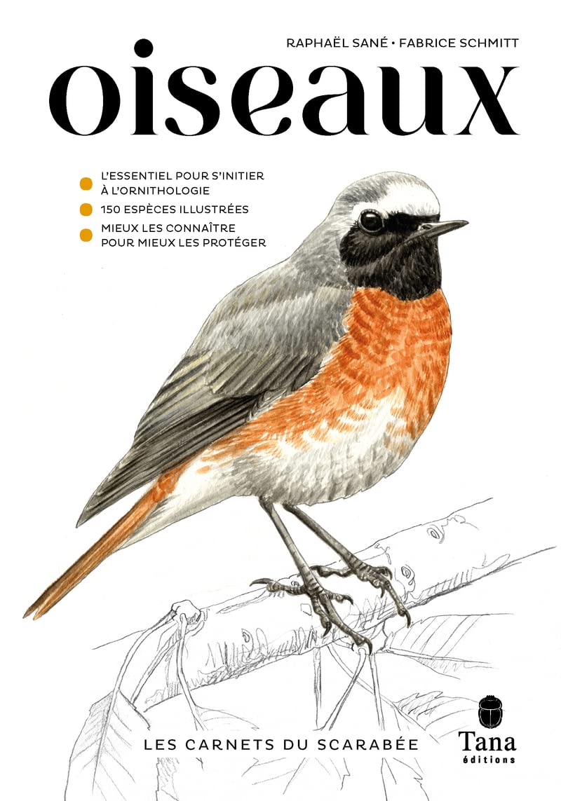 Les Carnets du Scarabée - Oiseaux - Guide pratique pour apprendre à observer les oiseaux, à les approcher et les identifier. Exercices de détermination, astuces, tutos book