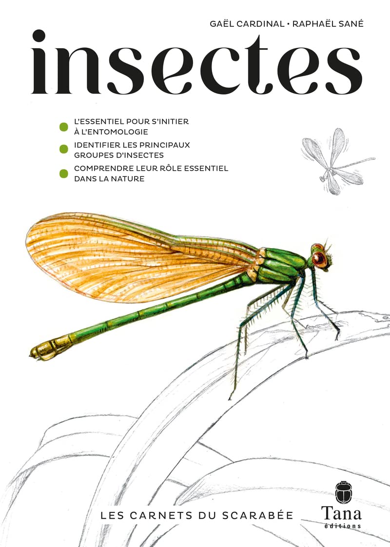 Les Carnets du Scarabée - Insectes - Guide pratique illustré pour découvrir l'entomologie en amateur. Identifier les grands groupes et les bases de leur écologie, sortir sur le terrain et identifier book