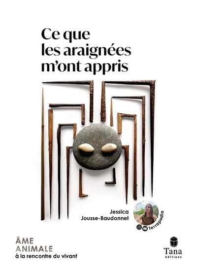 Product Image: Ce que les araignées m'ont appris