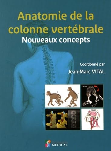 Anatomie De La Colonne Vertébrale: Nouveaux Concepts Medicine