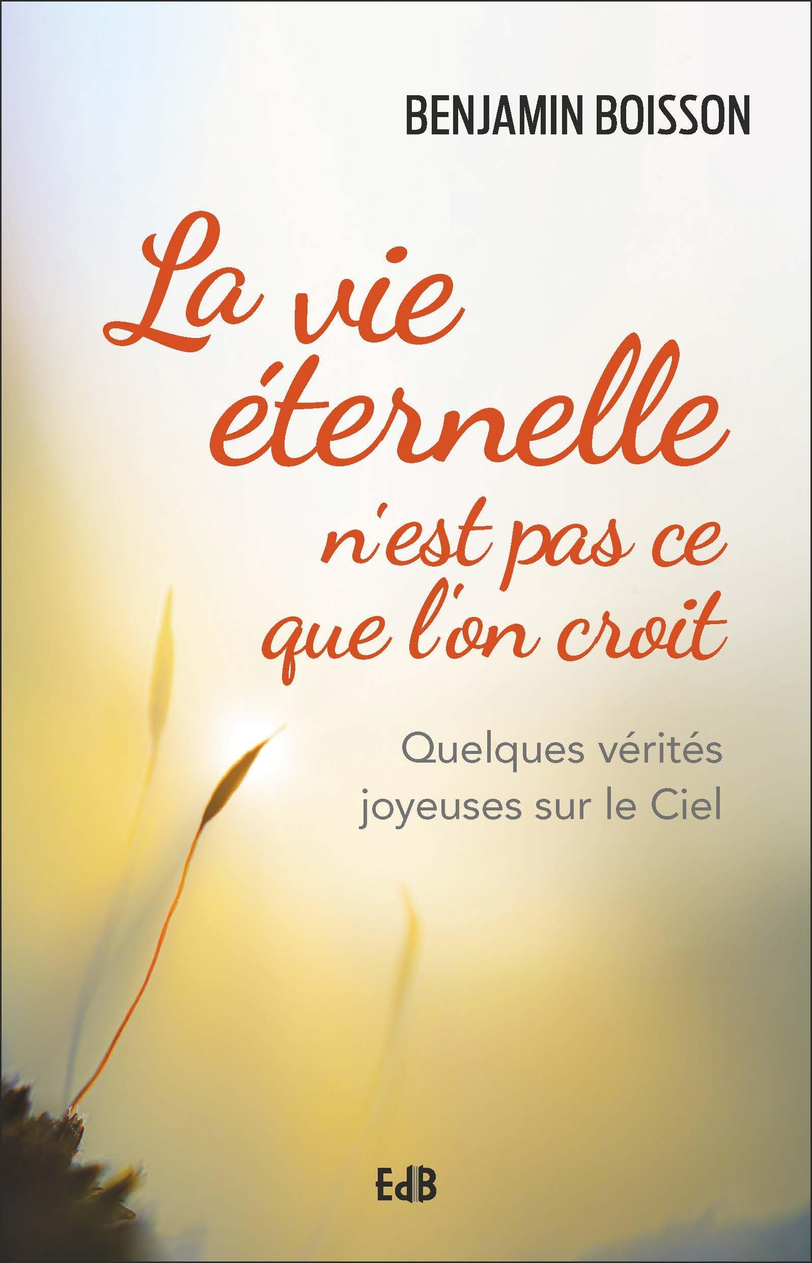La vie éternelle n'est pas ce que l'on croit - Quelques vérités joyeuses sur le ciel Religion & Esotericism