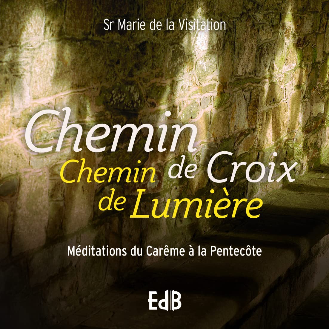 Chemin de croix Chemin de lumière. Méditations pour le Carême et le Temps pascal book