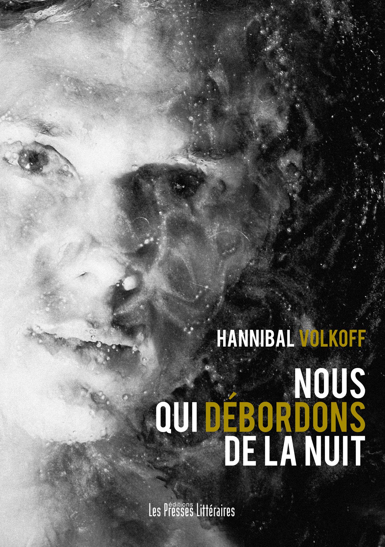 Nous qui débordons de la nuit book