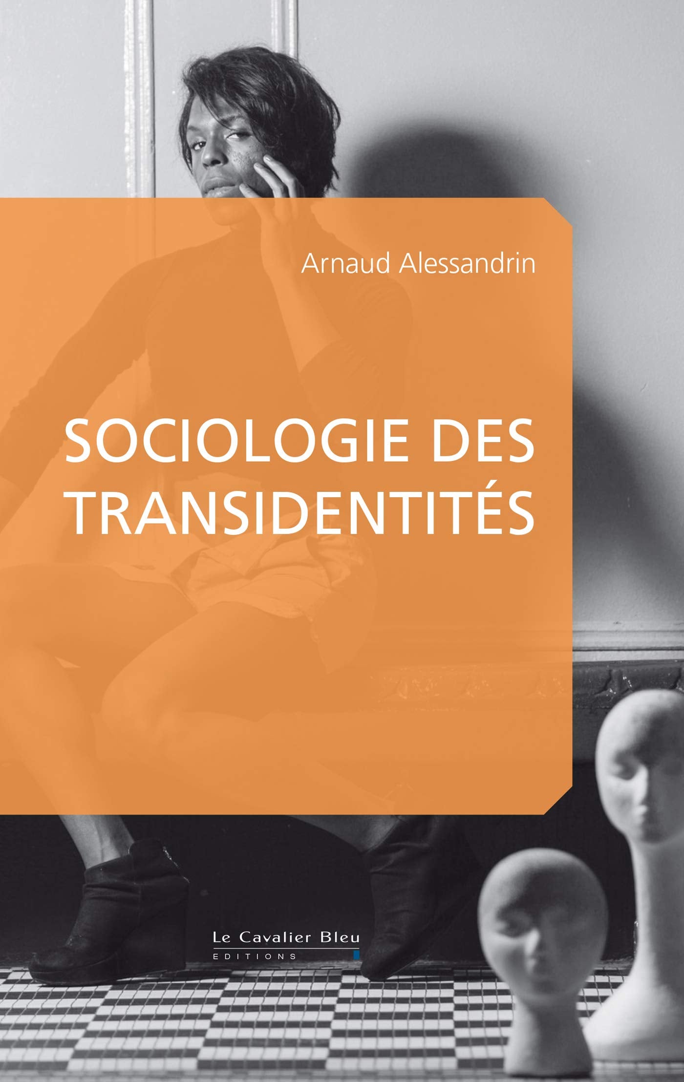 Sociologie des transidentites Books