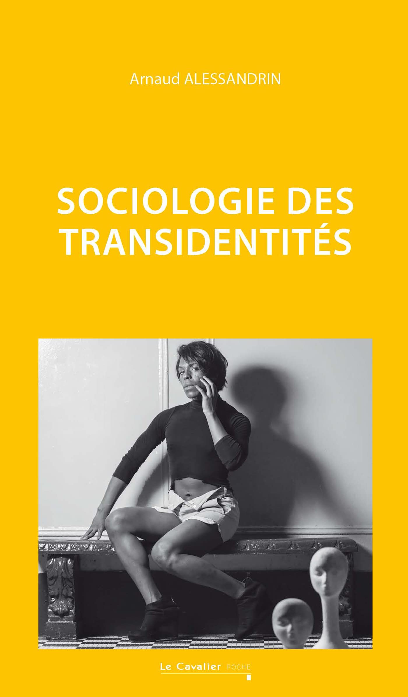 Sociologie des transidentités book