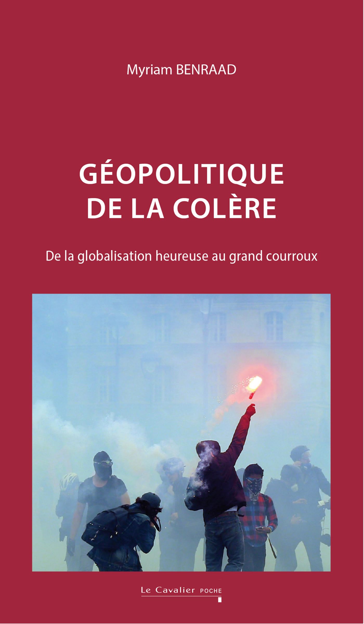 Géopolitique de la colère: De la globalisation heureuse au grand courroux Politics & History
