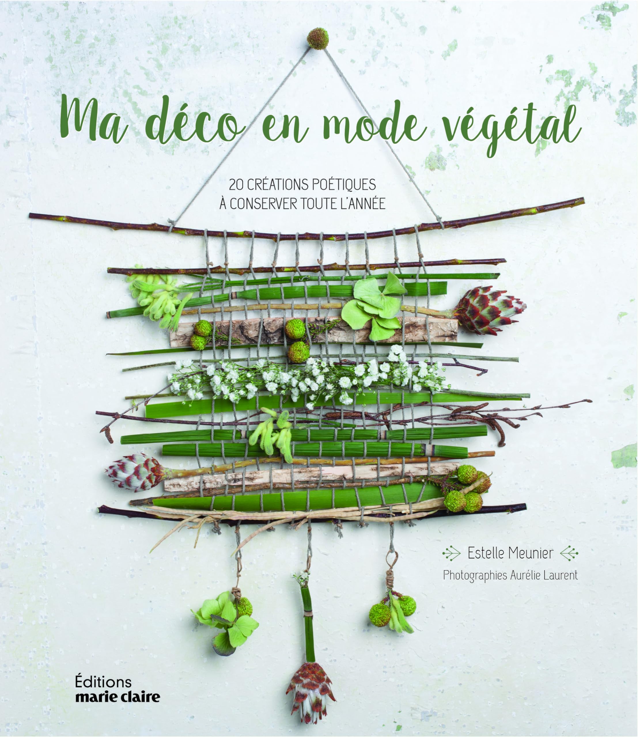 Ma déco en mode végétal: 20 créations poétiques à conserver toute l'année Leisure, Home & Garden