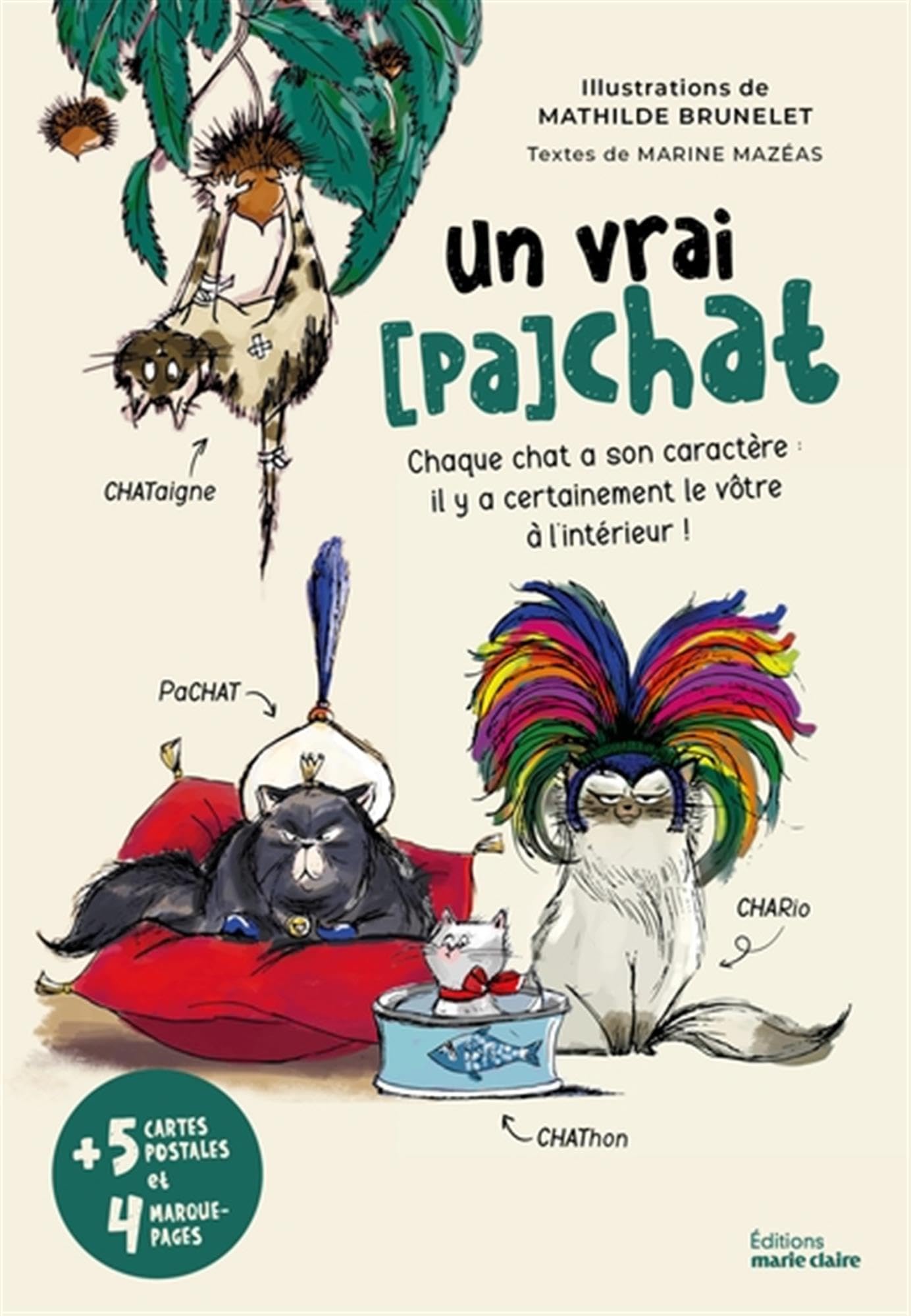 Un vrai (pa)chat: Chaque chat a son caractère : il y a certainement le vôtre à l'intérieur ! book