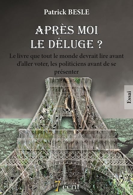 Après moi, le déluge ? Le livre que tout le monde devrait lire avant d’aller voter, les politiciens book