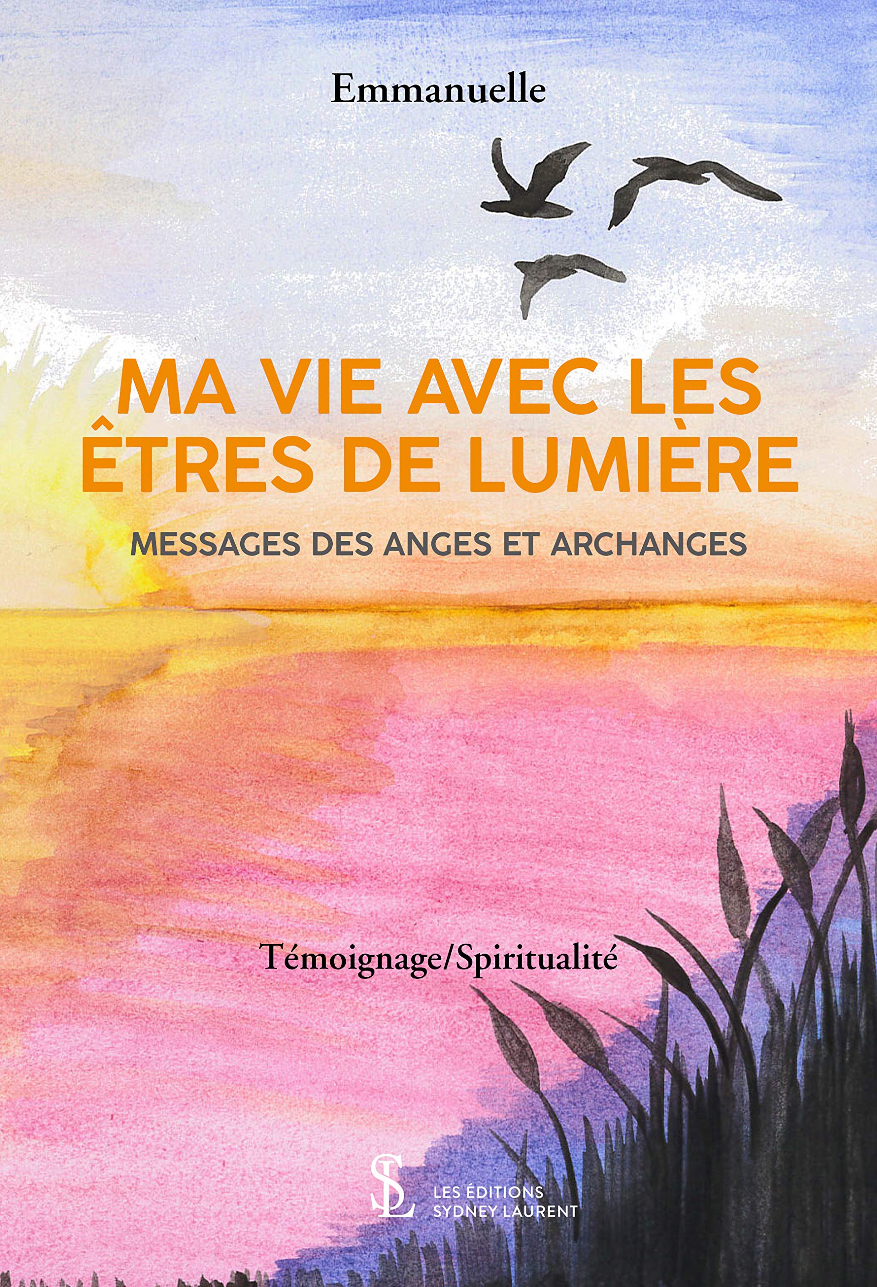 MA VIE AVEC LES ÊTRES DE LUMIÈRE: MESSAGES DES ANGES ET ARCHANGES: Messages des anges et des archanges Books