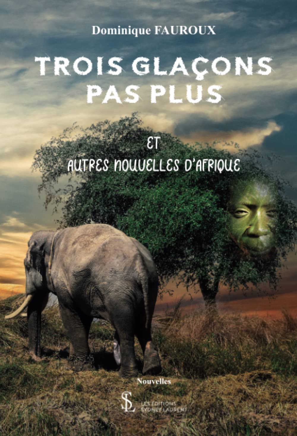 Trois glaçons pas plus et autres nouvelles d'Afrique book