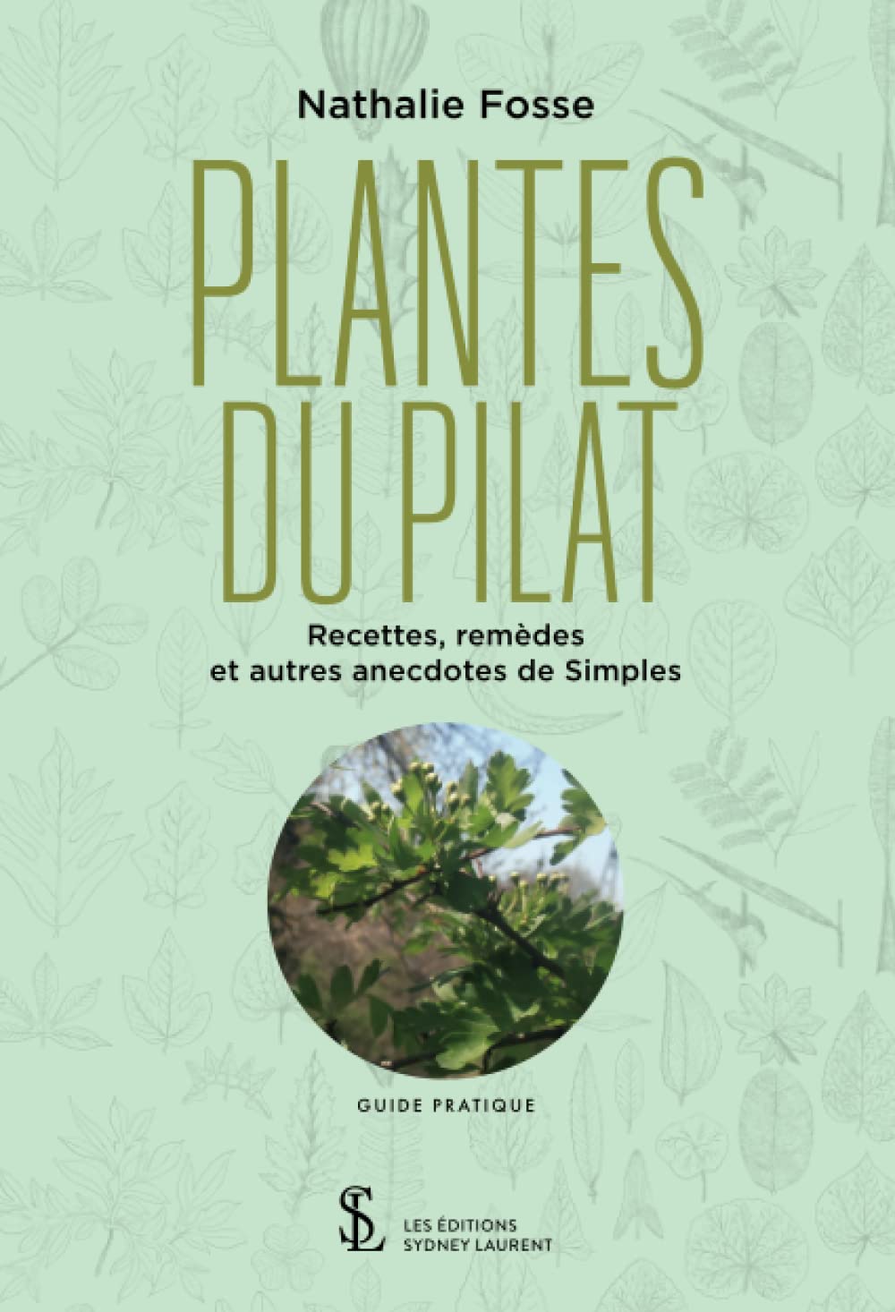 Plantes du Pilat: Recettes, remèdes et autres anecdotes de Simples book