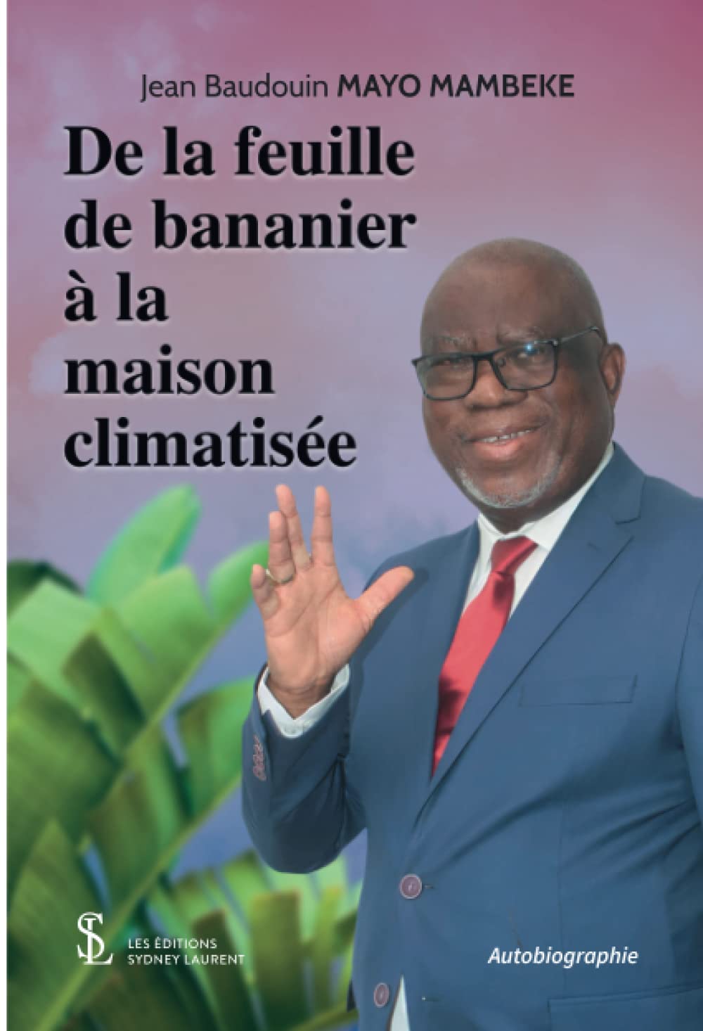 De la feuille de bananier à la maison climatisée book