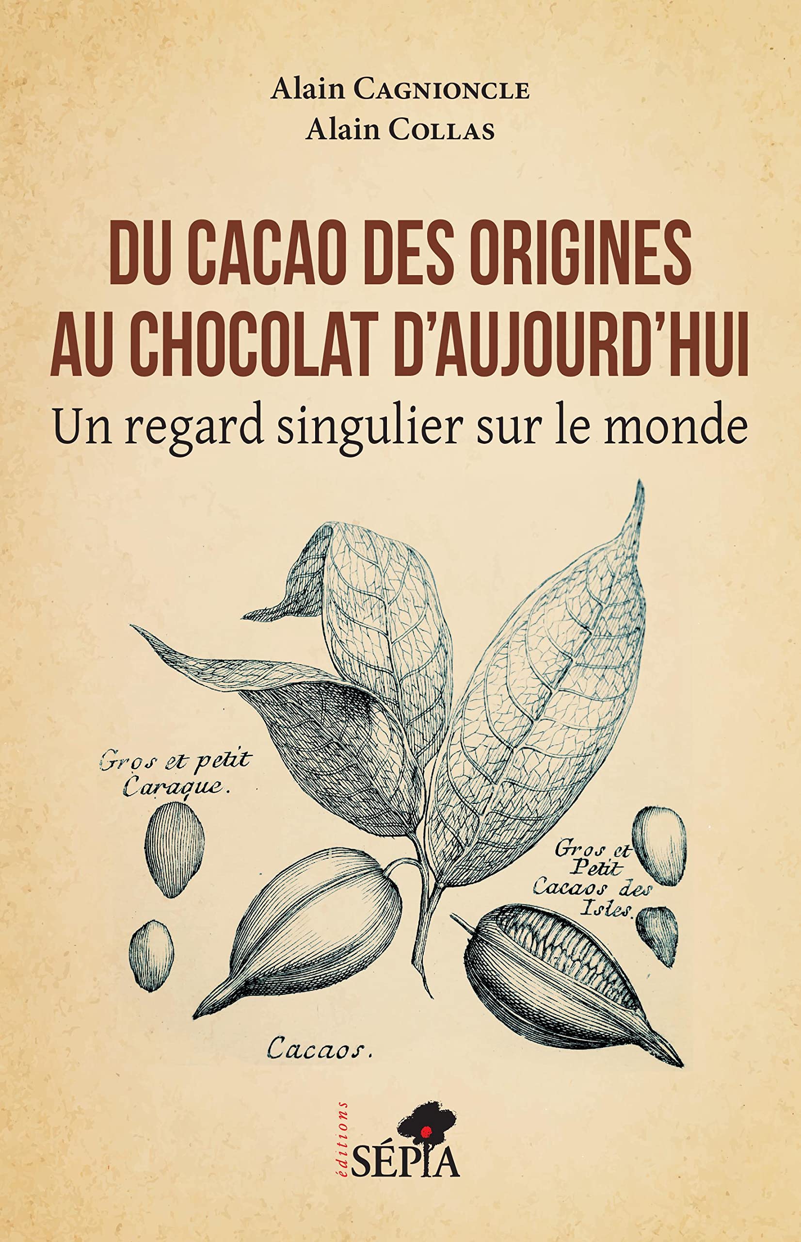 Du cacao des origines au chocolat d'aujourd'hui: Un regard singulier sur le monde book