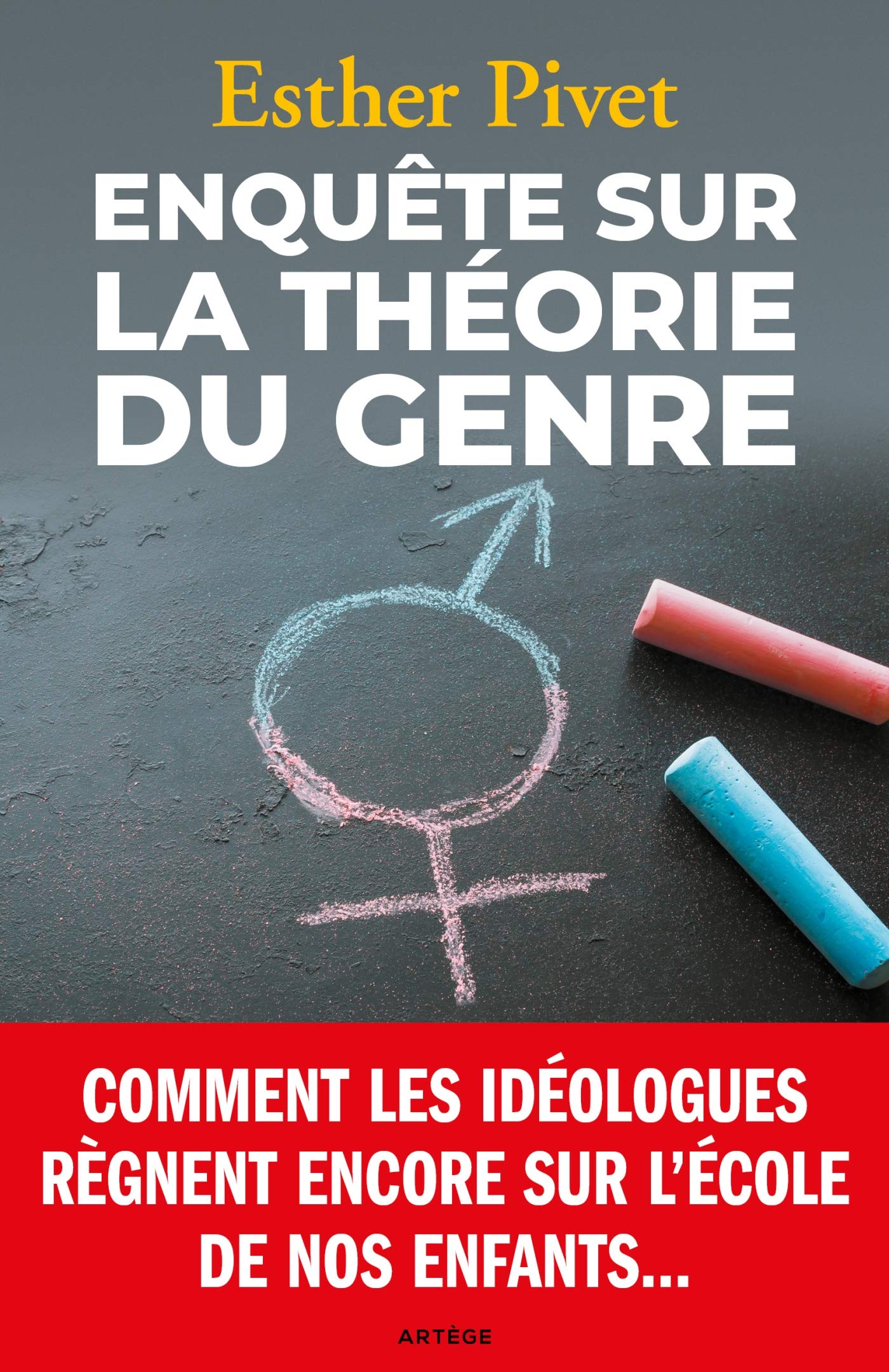 Enquête sur la théorie du genre Mathematics