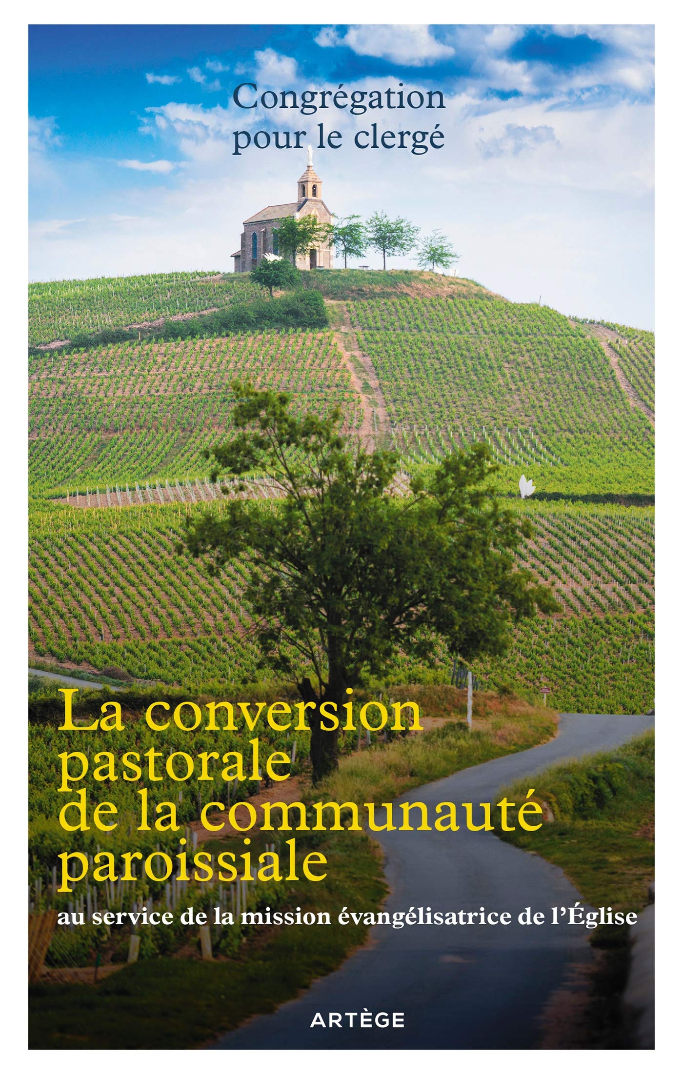 La conversion pastorale de la communauté paroissiale: au service de la mission évangélisatrice de l'Eglise book