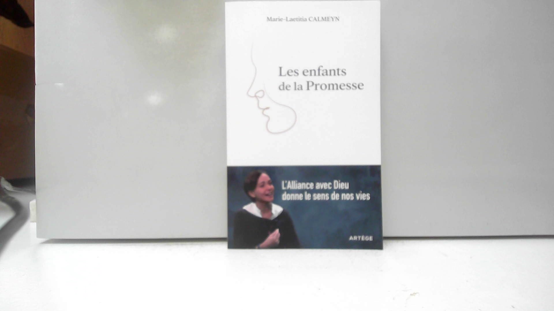Les enfants de la Promesse: L'Alliance avec Dieu donne le sens de nos vies Religion & Esotericism