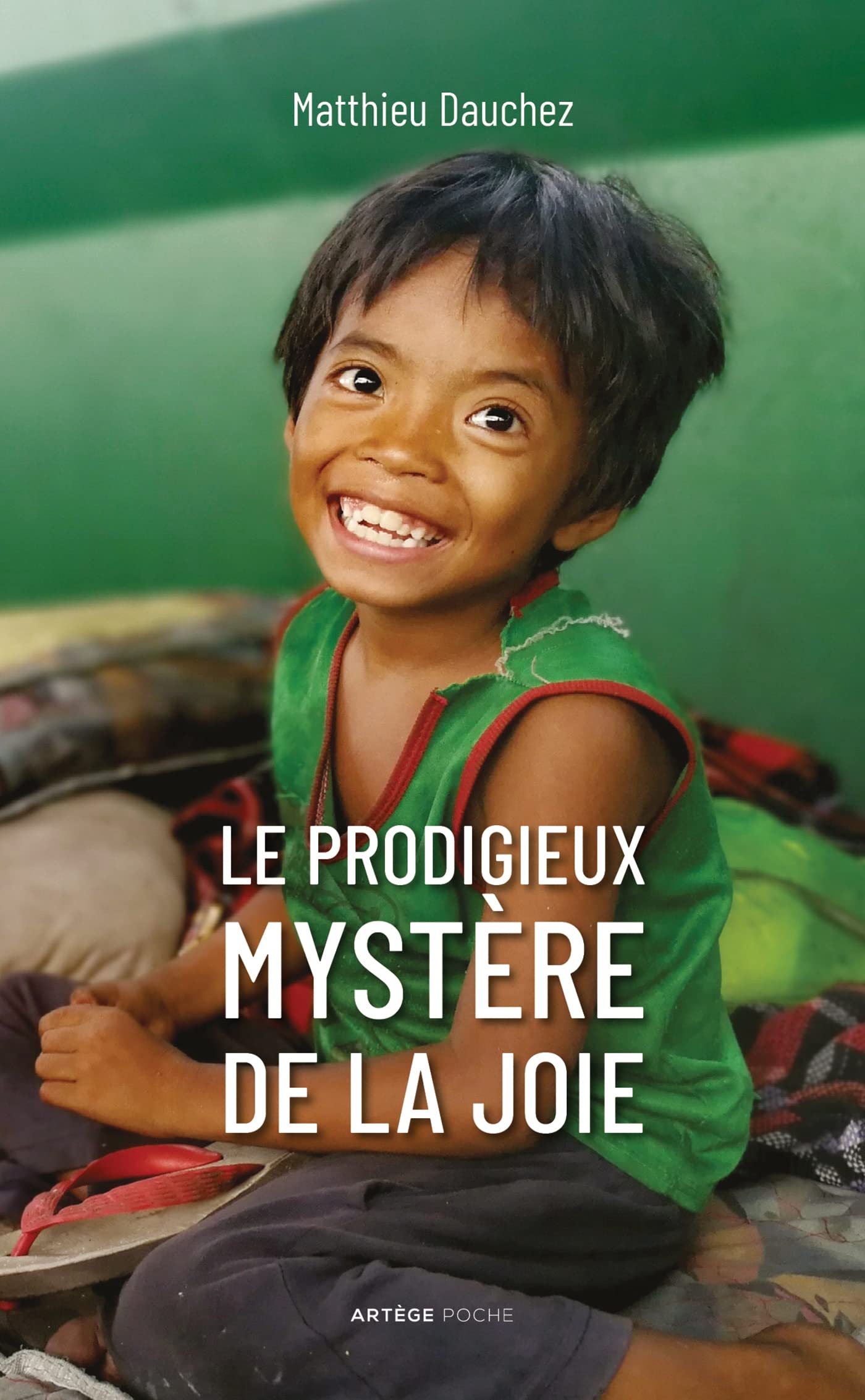 Le prodigieux mystère de la joie book