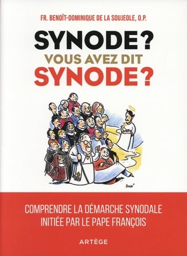 Synode ? Vous avez dit synode ?: Comprendre la démarche synodale initiée par le pape François book