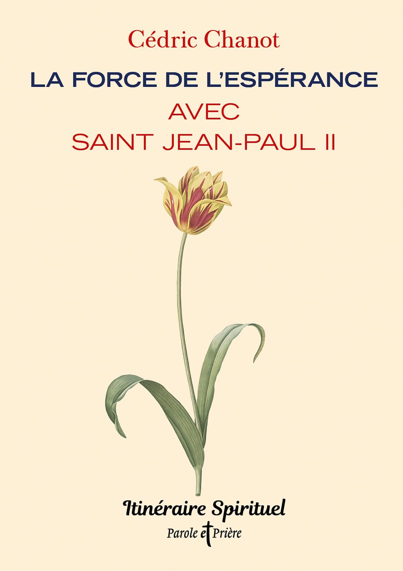 La force de l'espérance avec saint Jean-Paul II: Itinéraire spirituel book