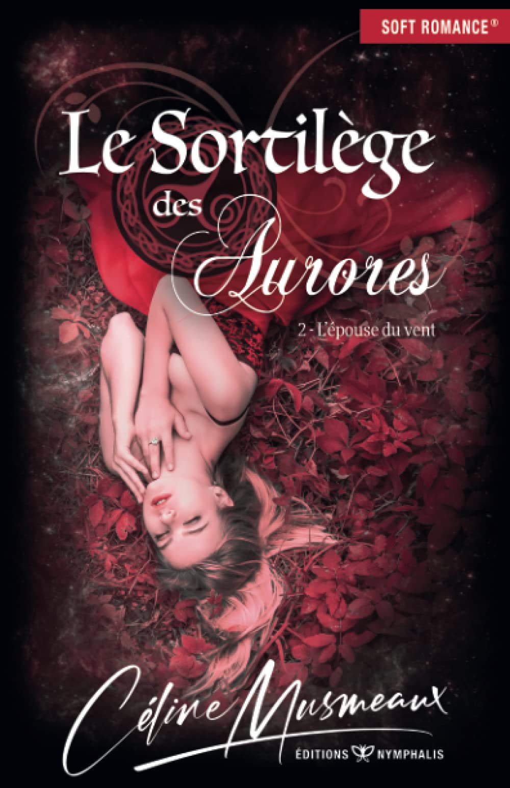 Le Sortilège des Aurores: 2 - L'épouse du vent book