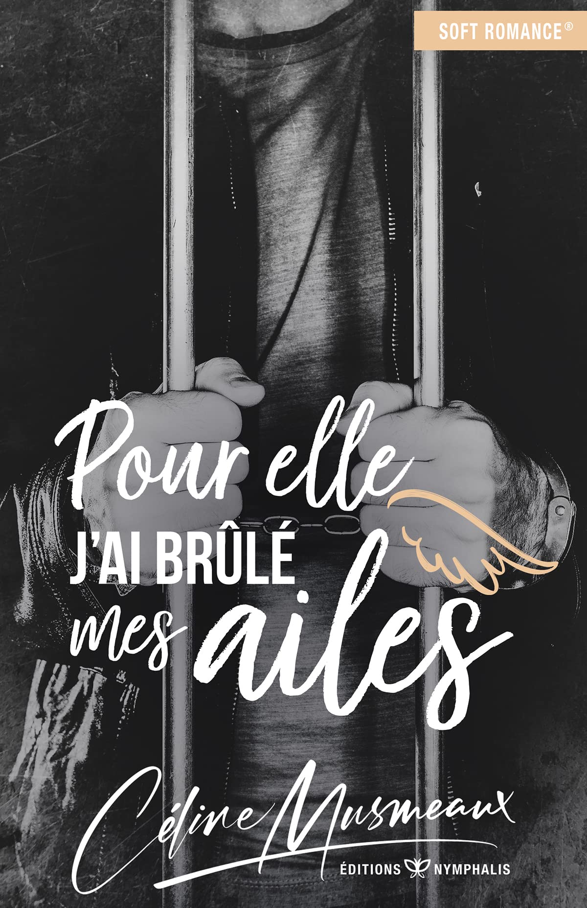 Pour elle, j'ai brûlé mes ailes book