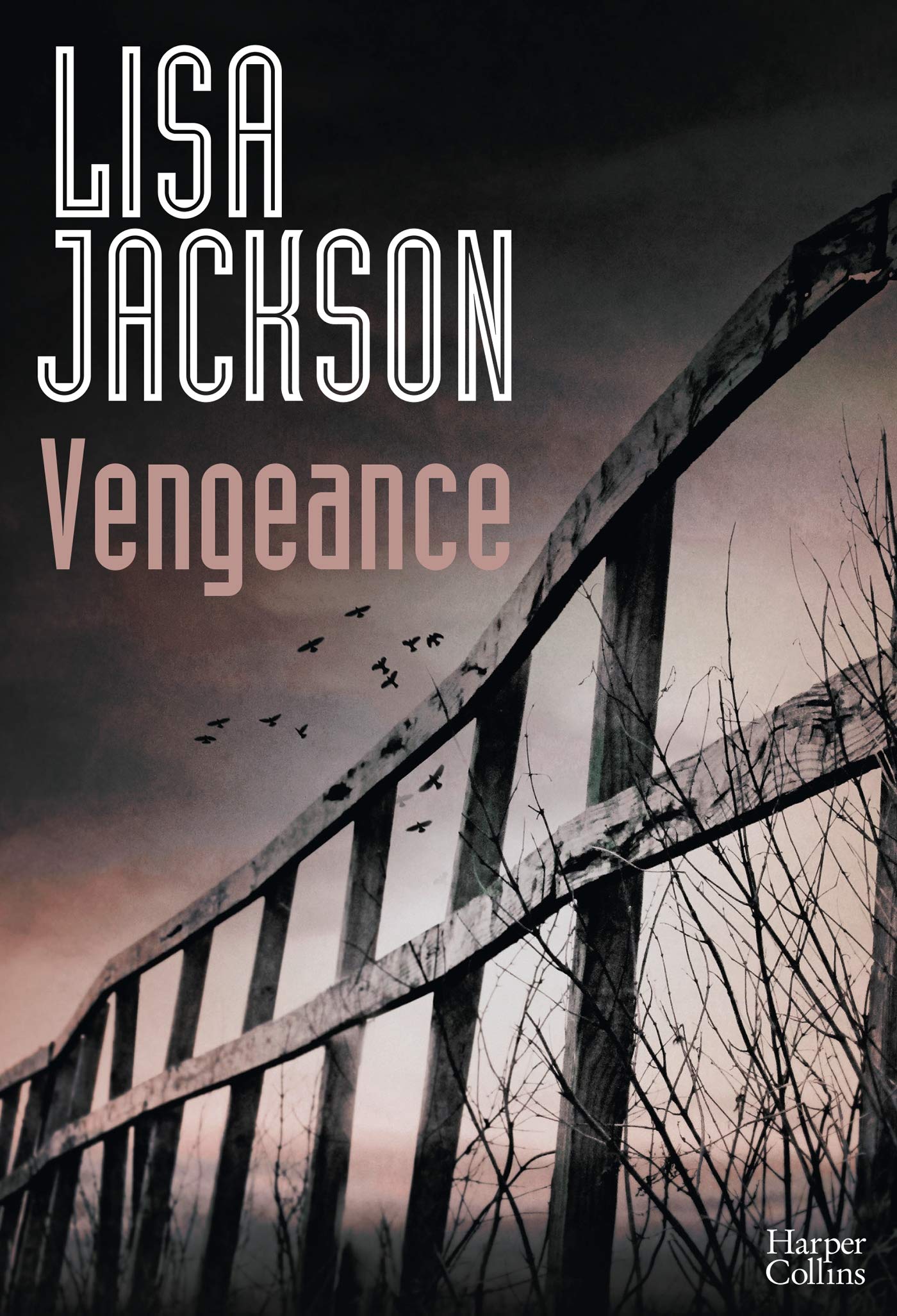 Vengeance: le nouveau thriller de Lisa Jackson Contemporary literature