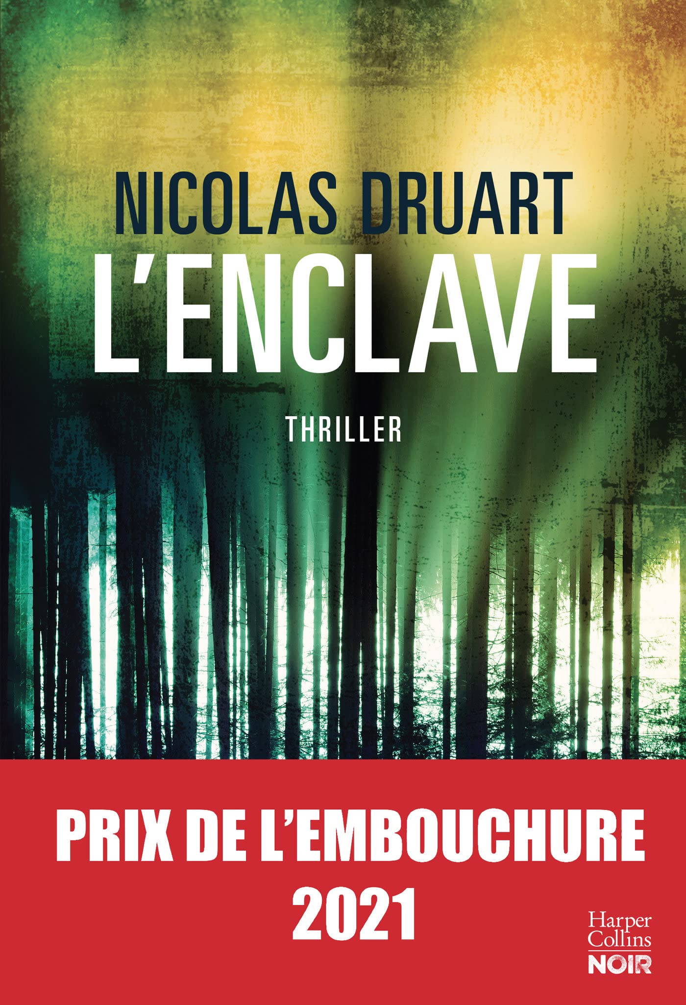 L'Enclave: Une nouvelle voix qui va compter dans le paysage du thriller français ! Contemporary literature