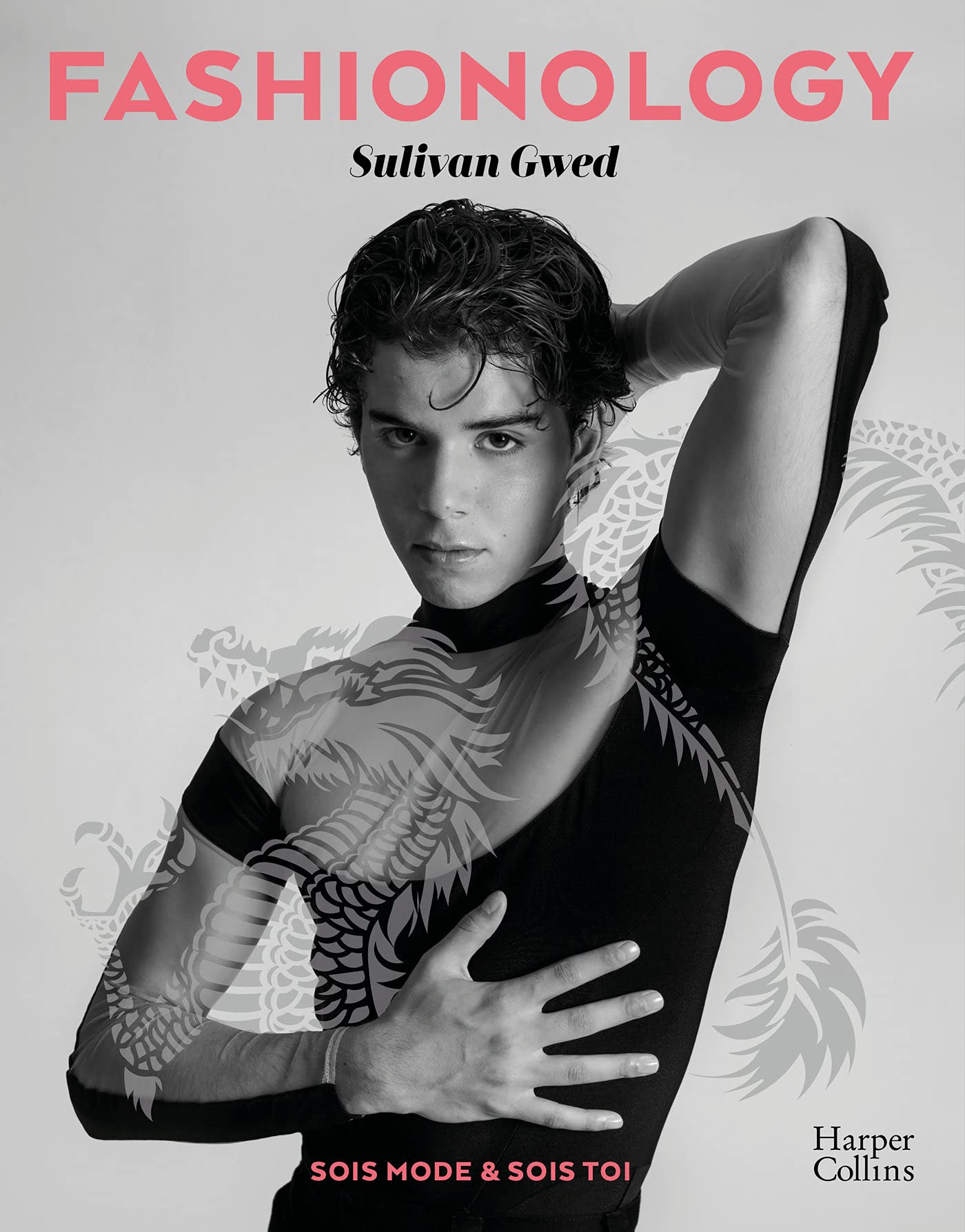 Fashionology: Sois Mode & Sois Toi book