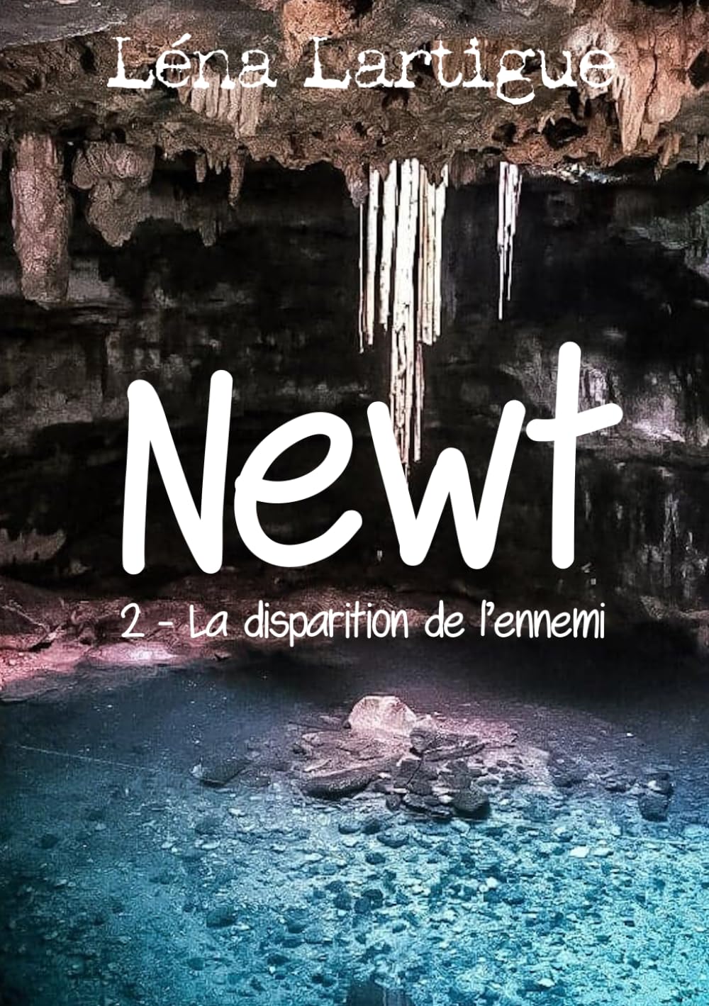 Newt 2 - La disparition de l'ennemi book