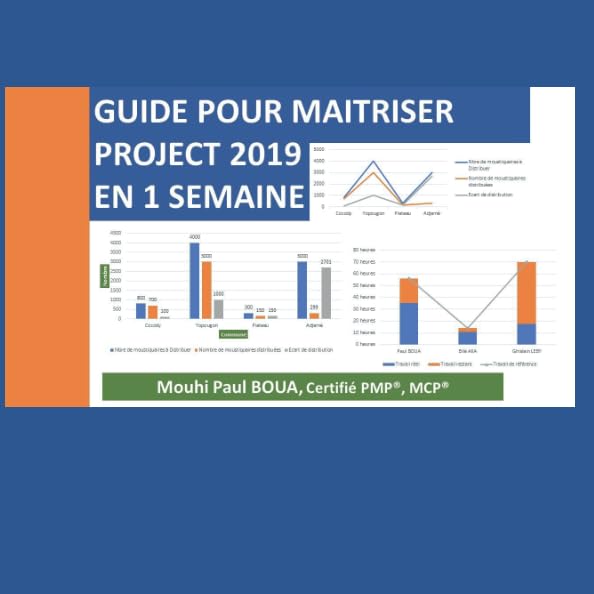 GUIDE POUR MAITRISER PROJECT 2019 EN 1 SEMAINE book