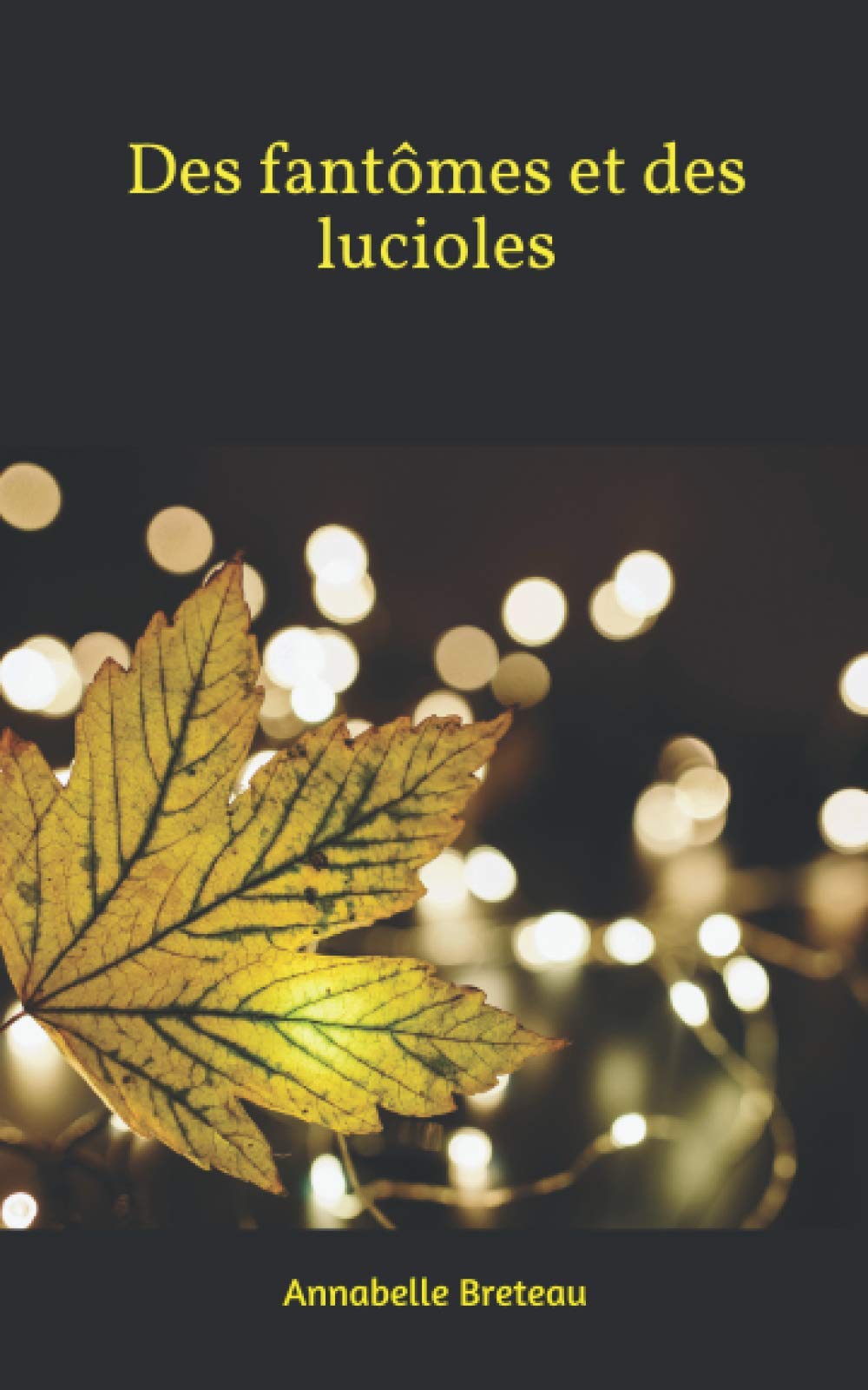 Des fantômes et des lucioles. book