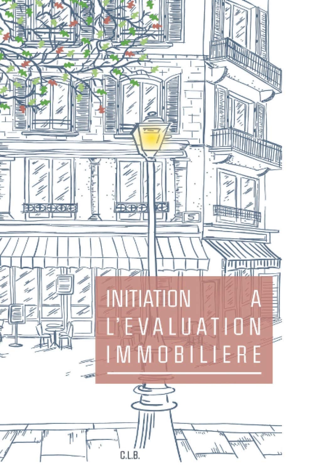 Initiation à l'évaluation immobilière: Le guide pour savoir estimer un bien immobilier book
