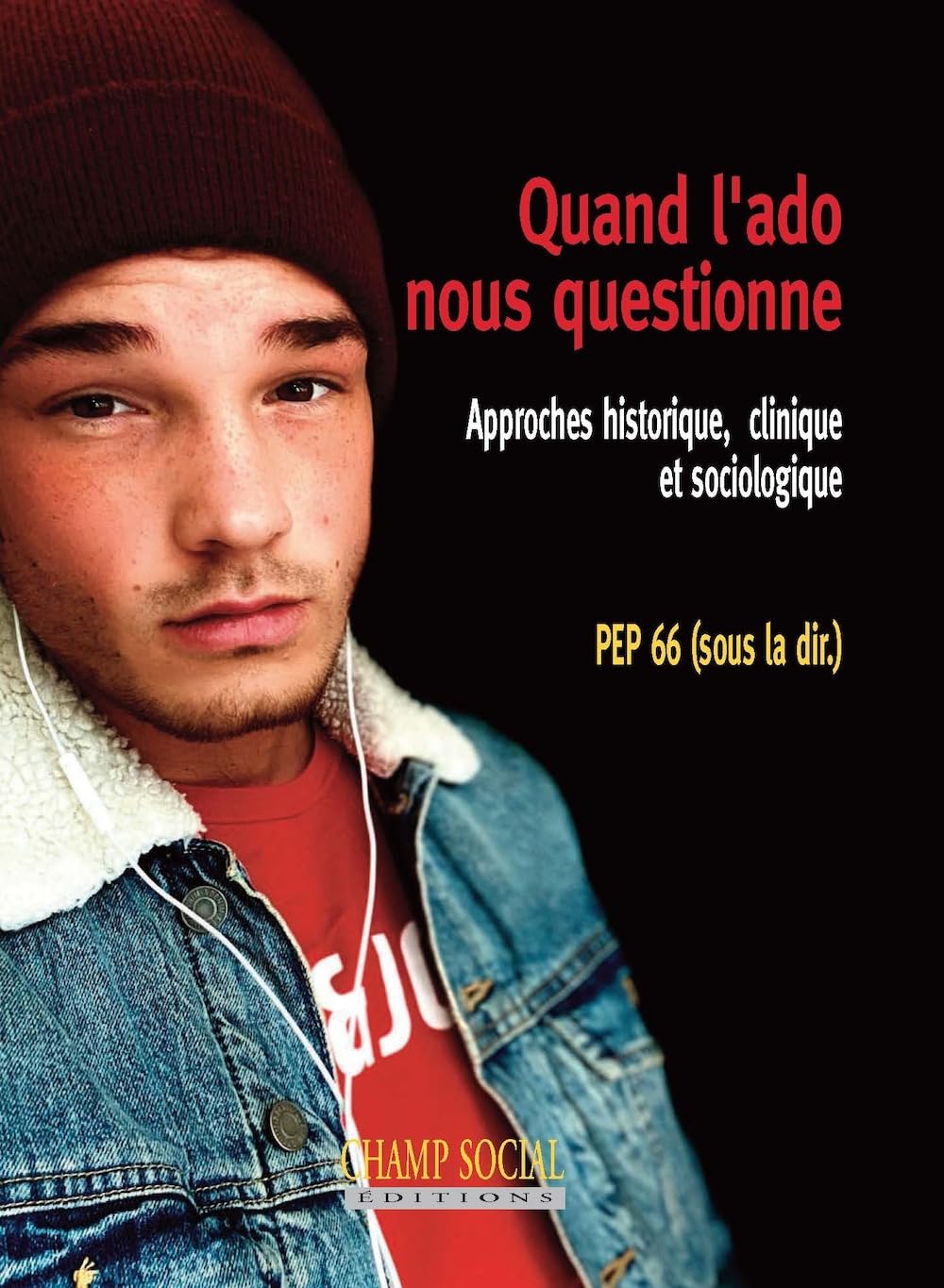 Quand l'ado nous questionne : Approches historique, clinique et sociologique book
