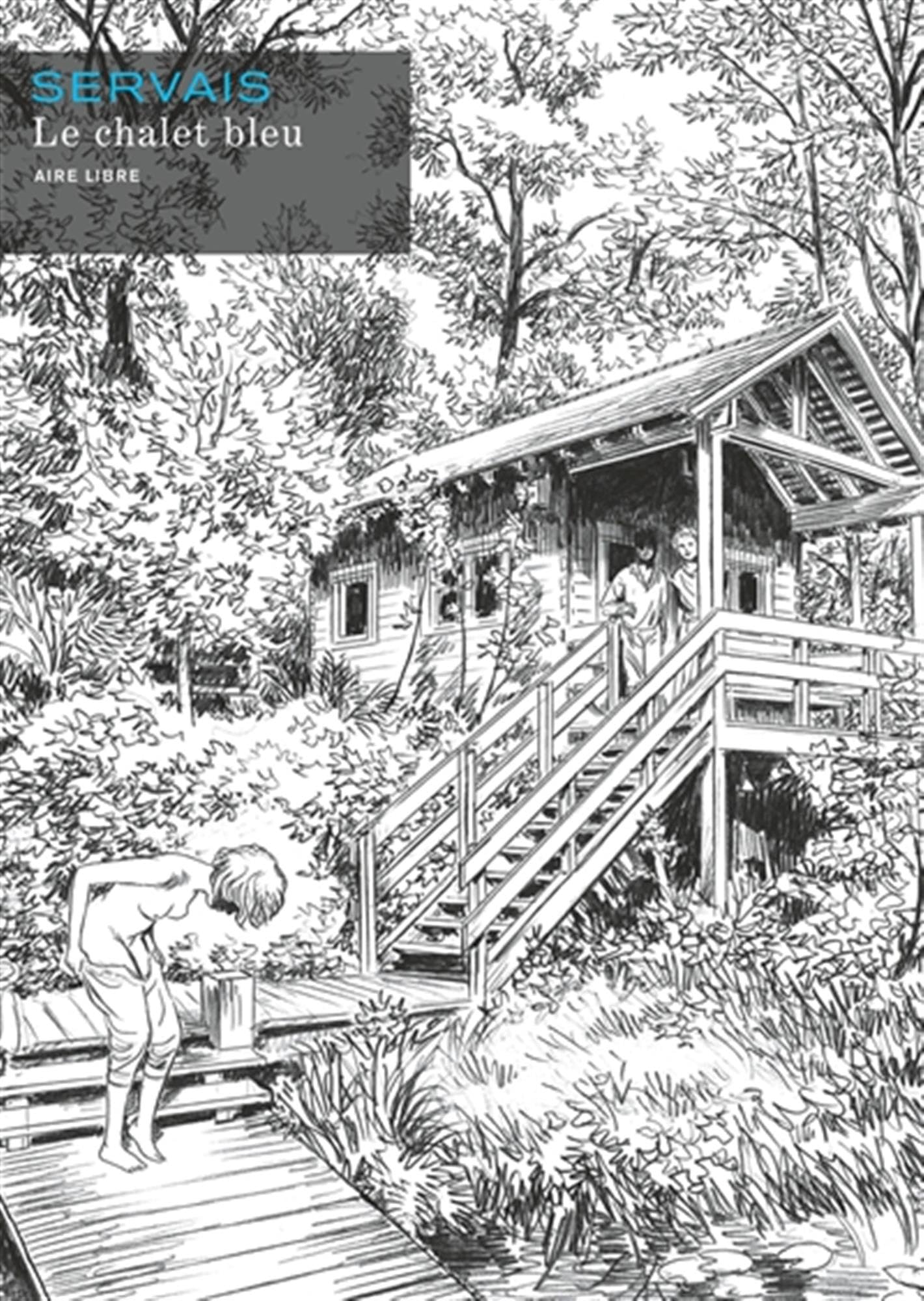 Le chalet bleu - Tome 0 - Le chalet bleu (Edition luxe N/B) book