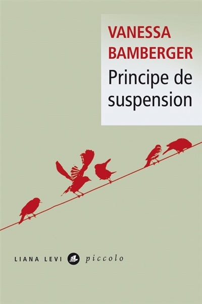 Product Image: Principe de suspension