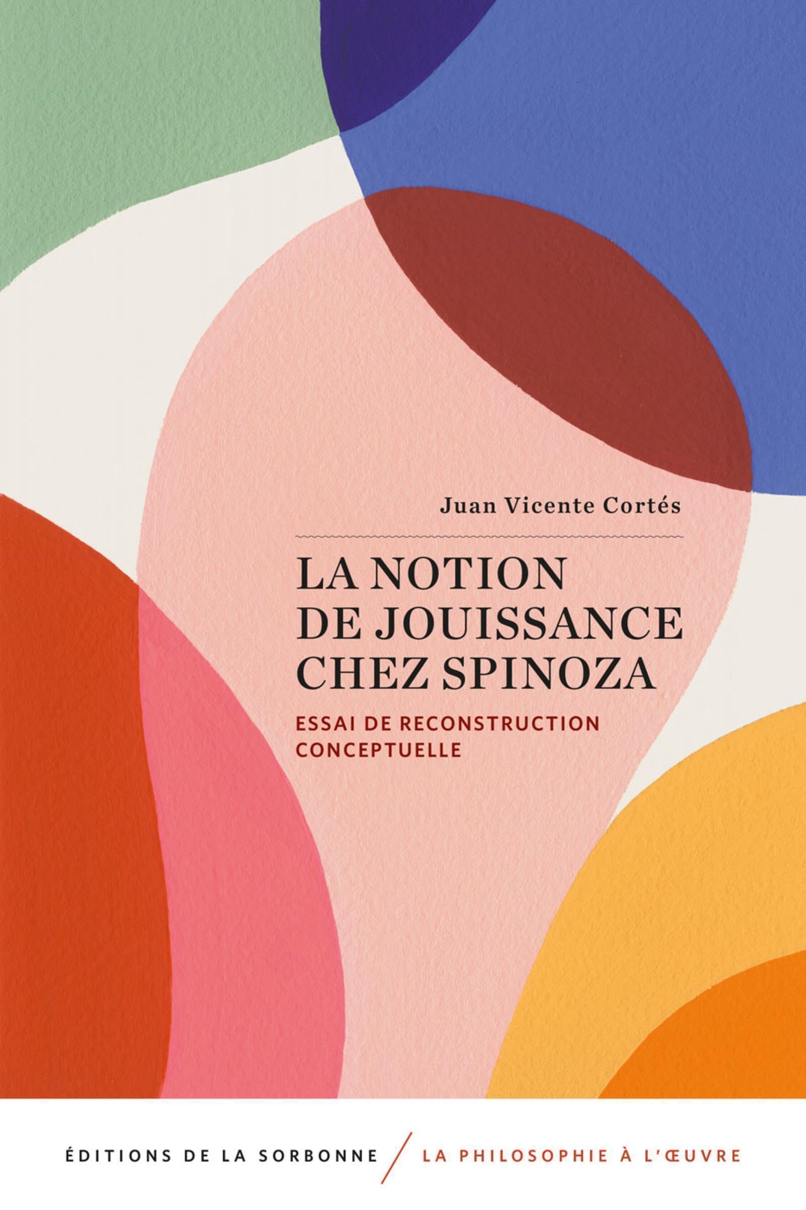 La notion de jouissance chez spinoza: Essai de reconstruction conceptuelle book