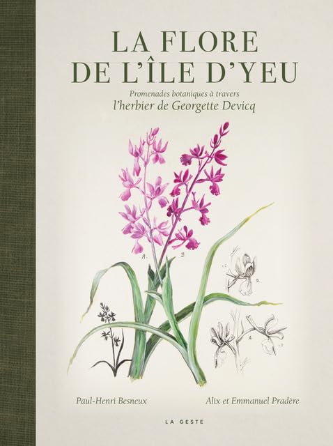 La flore de l'île d'Yeu book
